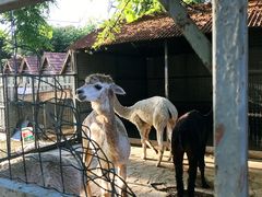 -意大利农场度假村