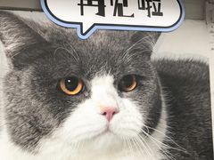 -方浜中路45弄小区