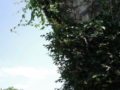 -宁波市保国寺古建筑博物馆