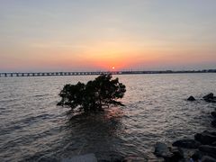 -宝安西湾红树林湿地公园