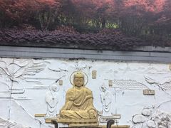 -大金鹰园