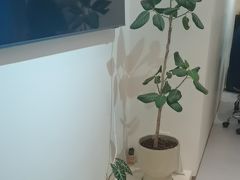 -脊美正骨·推拿·整脊(KKmall京基100店)
