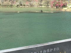 -靖西鹅泉风景区