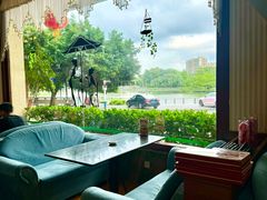 -OLD TREE老树咖啡·西餐厅(台山人工湖店)
