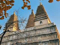 -北京石刻艺术博物馆(五塔寺)