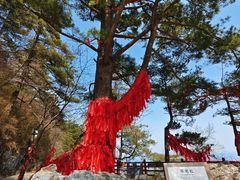 -秦岭天竺山生态文化旅游景区