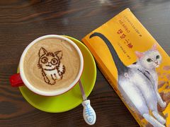 -名猫咖啡馆·撸猫·拼豆