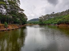 -大屏嶂森林公园