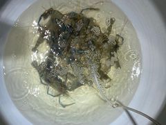 -金稼园·金平湖农家菜