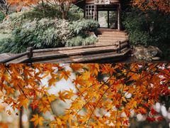 -中国茶叶博物馆(双峰馆区)