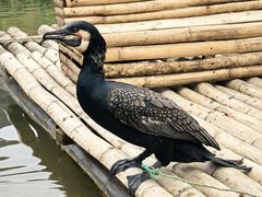 -明仕田园