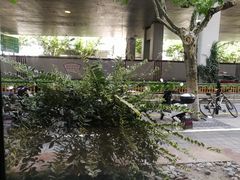 -永和大王(赤峰路二店)