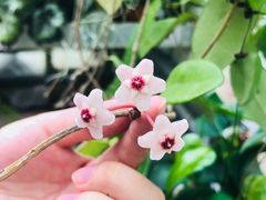 -山林博物馆&花园