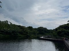 -济州森林小火车生态公园