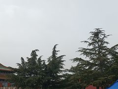 -龙口南山旅游景区