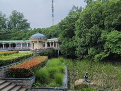 -蠡湖中央公园