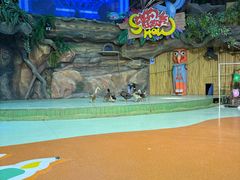 -萌宠奇缘(荣鼎店)