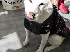 -五进制 Coffee Shop