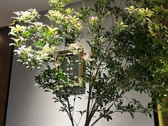 -悦融·京鲁菜·露台花园(安定门店)