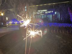 -上海崇明金茂凯悦酒店