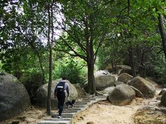 -火炉山森林公园