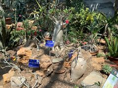 -国家植物园南园