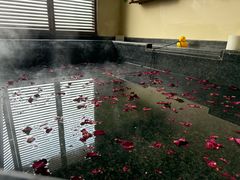 -春晖园度假酒店温泉