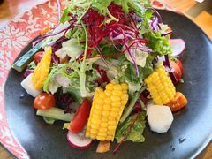-Hatsune隐泉日式料理(三里屯太古里店)