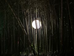 -杭州黄龙洞