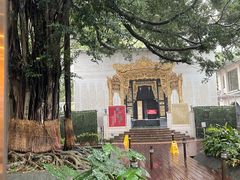 -九龙公园