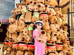 -廊坊固安福朋喜来登酒店