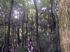 -杭州半山国家森林公园