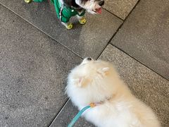 -瑞虹新天地月亮湾