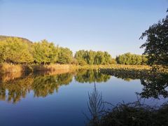 -北京植物园南门售票处