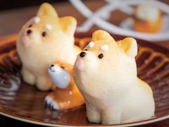 柴柴芝士蛋糕-柴犬高等学院·狗咖·柴犬售卖·宠物训练