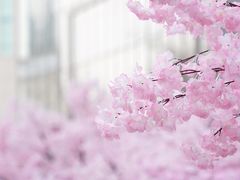 -金茂览秀城