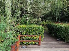 -开封开元名都大酒店·可泰自助餐厅