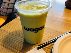 -Wagas沃歌斯(虹桥机场T1店)