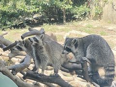 -宁波野生动物园