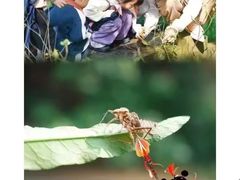 -艺年级儿童语言艺术中心(冉家坝爱融荟城店)