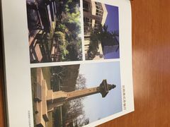 -同济大学-北苑食堂