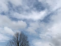 -南通洲际绿博园