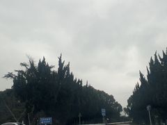 -无忧学车·华茂驾校(宝山校区)