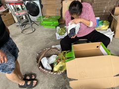 -马陆小张葡萄园农家乐