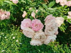 -人民公园(罗湖区)