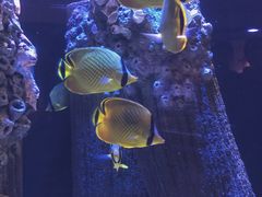 -成都浩海立方海洋公园