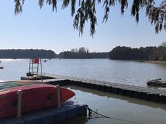 -上海海湾国家森林公园