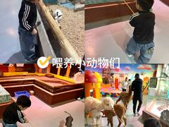 -顺德南宏海立方海洋公园