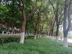 -后襄河公园