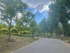 -东郊湿地公园
